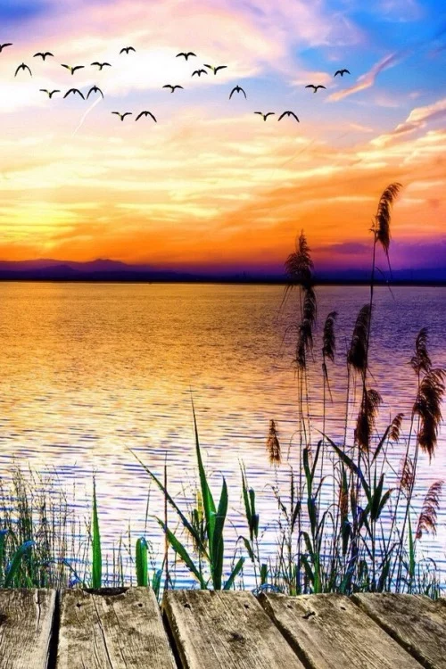 Nature